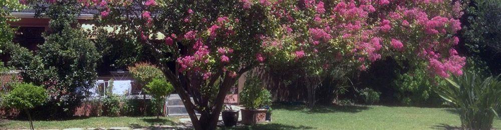 51 On Forest Drive Cape Town Luaran gambar